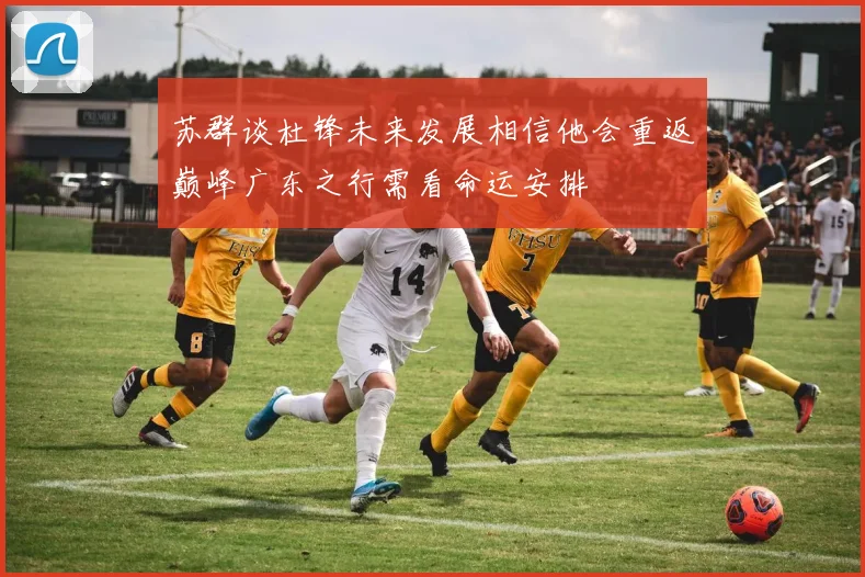 苏群谈杜锋未来发展相信他会重返巅峰广东之行需看命运安排