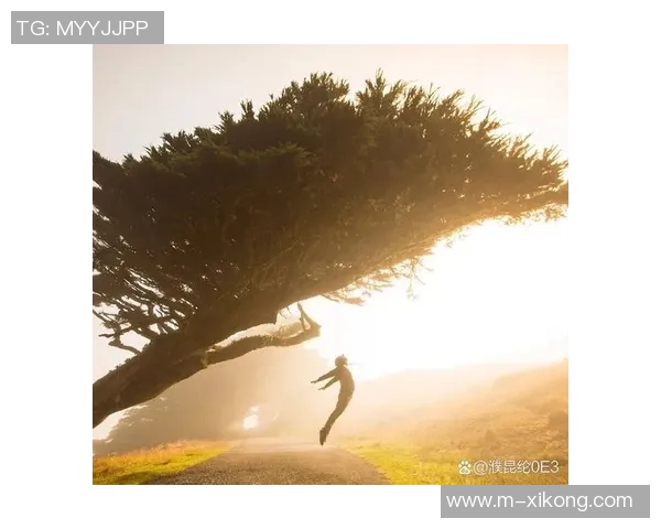 重要的决定终究会到来我们需要勇敢面对和接受改变的时刻